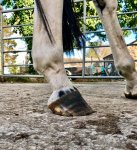 7DD7222E-4C5F-4683-9DDA-56C0EBF4B8AC.jpeg 7DD7222E-4C5F-4683-9DDA-56C0EBF4B8AC.jpeg