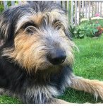 IMG_6080.jpg IMG_6080.jpg