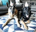 20181016_113233.jpg 20181016_113233.jpg