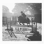 MILLSTHEJAYS.jpg MILLSTHEJAYS.jpg