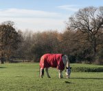 436E1AEF-19B9-43AD-B889-79BC256658E4.jpeg 436E1AEF-19B9-43AD-B889-79BC256658E4.jpeg