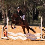 Henry wavy board.jpg