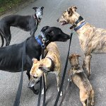 950181E3-3252-4B99-83DE-35D7BD2B682A.jpeg 950181E3-3252-4B99-83DE-35D7BD2B682A.jpeg