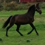 IMG_20190914_225706_249.jpg IMG_20190914_225706_249.jpg