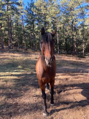 024A2D45-F4E7-41B2-AE52-A726A1407D37.jpeg 024A2D45-F4E7-41B2-AE52-A726A1407D37.jpeg