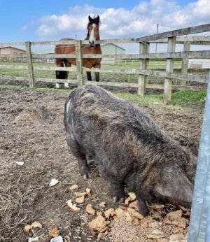 IMG_1270.jpeg IMG_1270.jpeg