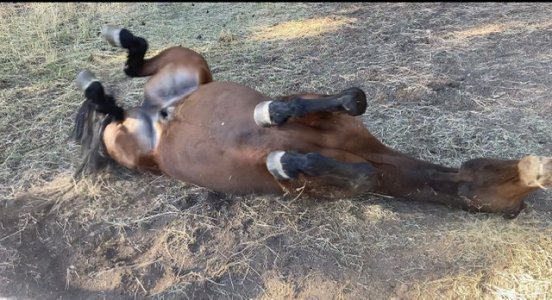 5415A76D-3F4D-46B8-A509-990838971F78.jpeg 5415A76D-3F4D-46B8-A509-990838971F78.jpeg