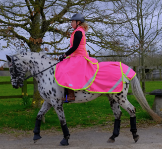 1698221974426.png 1698221974426.png