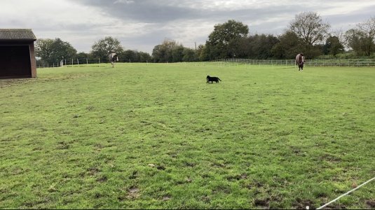 IMG_0126.jpeg IMG_0126.jpeg