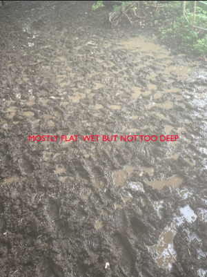 Screenshot 2023-10-26 at 19.41.45.png