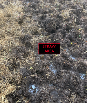 Screenshot 2023-10-26 at 19.42.44.png