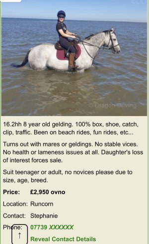 IMG_1097.jpeg IMG_1097.jpeg