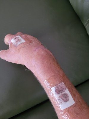 3382A1C6-2E19-4E3D-91A8-AAB32FADFB3E.jpeg 3382A1C6-2E19-4E3D-91A8-AAB32FADFB3E.jpeg