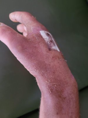 D9C02CDB-FCAB-4356-924D-442B1657A6EF.jpeg D9C02CDB-FCAB-4356-924D-442B1657A6EF.jpeg