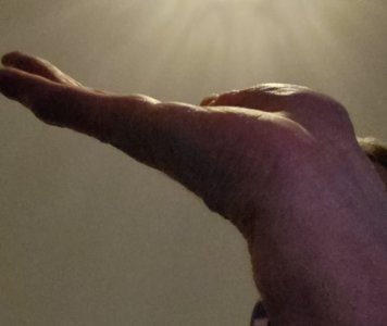 20231028_201523~2.jpg 20231028_201523~2.jpg