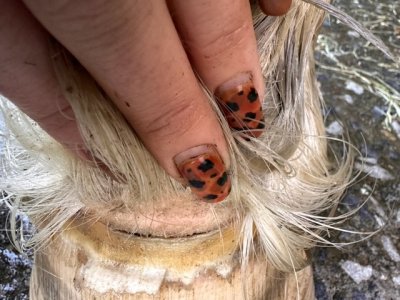 IMG_3880.jpeg IMG_3880.jpeg