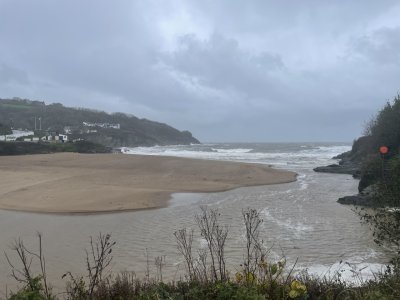 IMG_4404.jpeg IMG_4404.jpeg