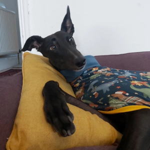 1699031193873.png 1699031193873.png