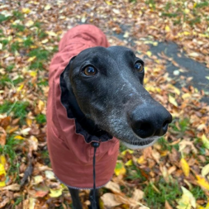 1699031208879.png 1699031208879.png