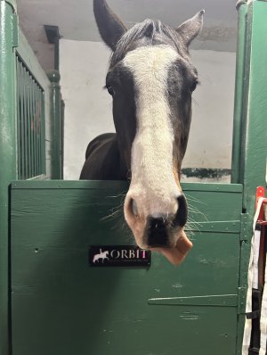 IMG_1352.jpeg IMG_1352.jpeg