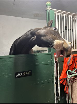 IMG_1357.jpeg IMG_1357.jpeg