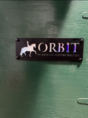 IMG_1351.jpeg IMG_1351.jpeg