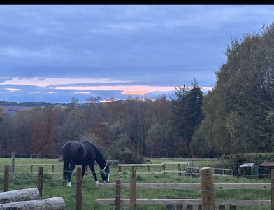 IMG_1377.jpeg IMG_1377.jpeg