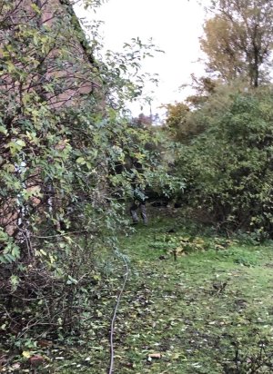 368403988_736586688296776_7082718322365139062_n.jpg 368403988_736586688296776_7082718322365139062_n.jpg