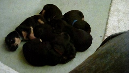 IMG_20220519_224836_hdr.jpg IMG_20220519_224836_hdr.jpg