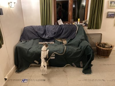 IMG_2464.jpeg IMG_2464.jpeg