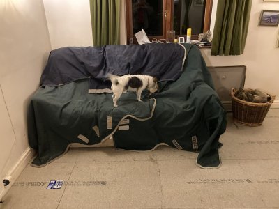 IMG_2465.jpeg IMG_2465.jpeg