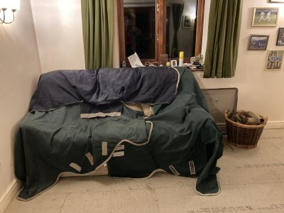 IMG_2463.jpeg IMG_2463.jpeg