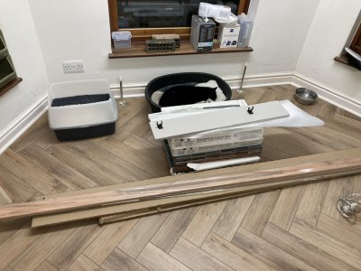 IMG_2475.jpeg IMG_2475.jpeg