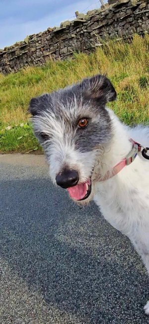 IMG_1136.jpeg IMG_1136.jpeg