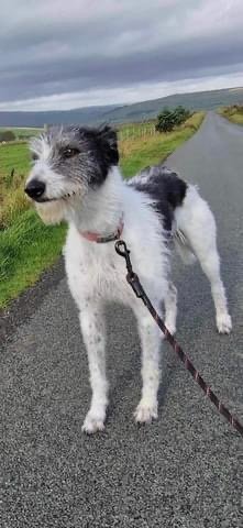 IMG_1137.jpeg IMG_1137.jpeg