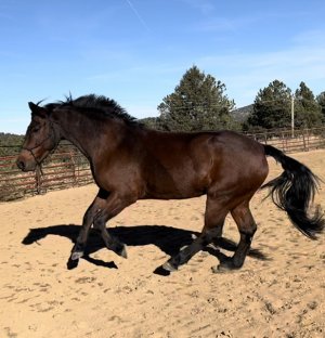 23986DF8-7D44-481F-974C-0F6B63A32CB6.jpeg 23986DF8-7D44-481F-974C-0F6B63A32CB6.jpeg