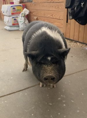 E1655859-670B-493C-9B09-A7EC74FCE9D2.jpeg E1655859-670B-493C-9B09-A7EC74FCE9D2.jpeg