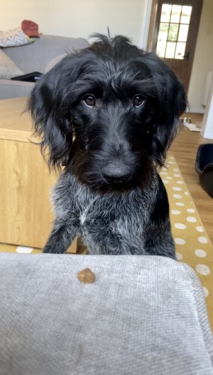 24A71292-3794-4B3F-A4A1-598ECD474614.jpeg 24A71292-3794-4B3F-A4A1-598ECD474614.jpeg