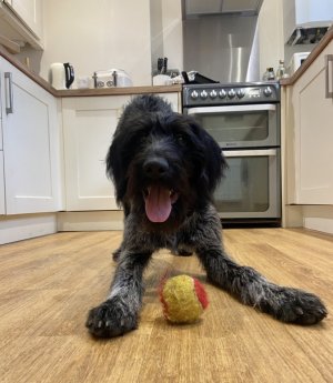 5D5A46A1-CCFF-4ABE-87D8-DD2618D99287.jpeg 5D5A46A1-CCFF-4ABE-87D8-DD2618D99287.jpeg