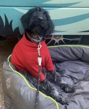 B24DDFB1-EB89-4099-9364-03411A216B32.jpeg B24DDFB1-EB89-4099-9364-03411A216B32.jpeg