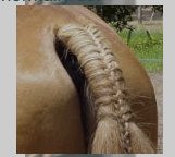 A147BEA3-2878-4C4F-AAFC-9EBCD9AE0201.jpeg A147BEA3-2878-4C4F-AAFC-9EBCD9AE0201.jpeg