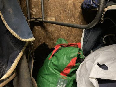 IMG_2631.jpeg IMG_2631.jpeg