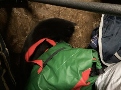 IMG_2632.jpeg IMG_2632.jpeg