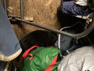 IMG_2633.jpeg IMG_2633.jpeg