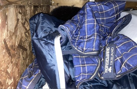 IMG_0292.jpeg IMG_0292.jpeg