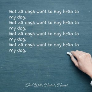 IMG_0994.jpeg IMG_0994.jpeg