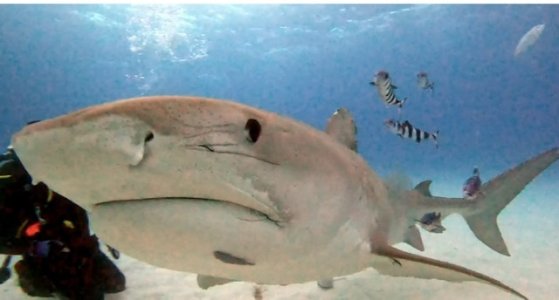 A5BFDAE4-A145-49FB-A8CD-84B69EFAC3B4.jpeg A5BFDAE4-A145-49FB-A8CD-84B69EFAC3B4.jpeg