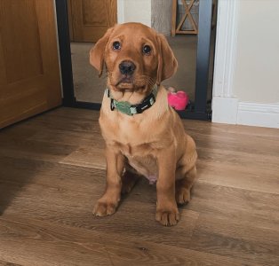 6456FD13-7F03-4808-89F2-CA3511DDEE4C.jpeg 6456FD13-7F03-4808-89F2-CA3511DDEE4C.jpeg