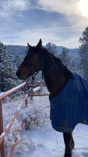 32FEE804-818D-4292-BD96-3D88D5446830.jpeg 32FEE804-818D-4292-BD96-3D88D5446830.jpeg