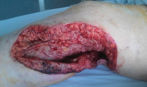 IMG_0306.jpeg IMG_0306.jpeg